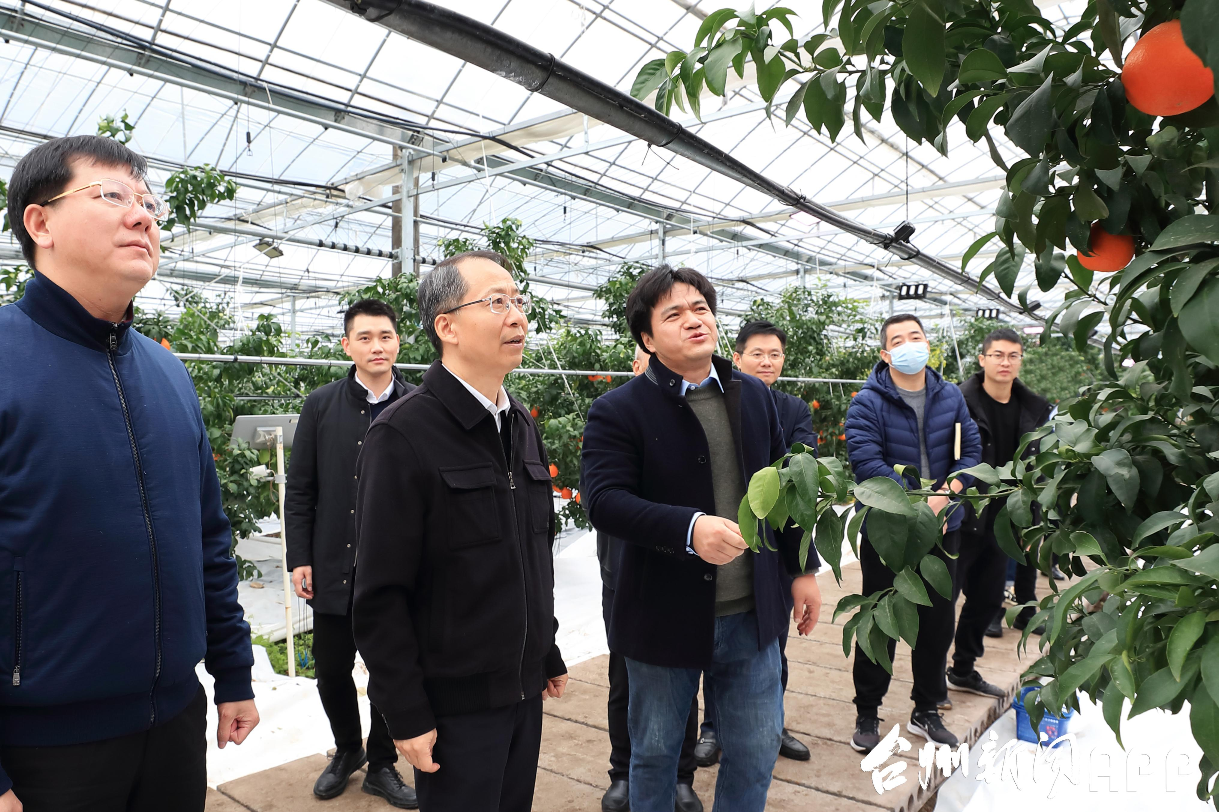 李跃旗：党建引领赋能乡村振兴 市区融合推...